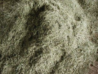 1ST CUTTING MIXED GRASS HAY FOR SALE 5 POUNDS GREAT FOR SMALL PETS NO