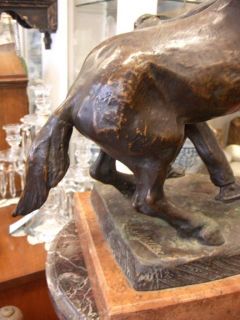 Great Hans Muller Rearing Horse Bronze Sculpture C 1900