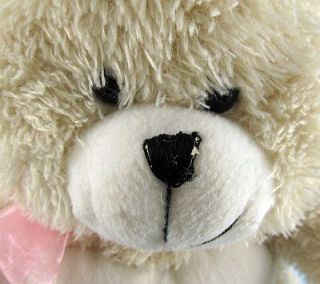 10 ACMI Sugar Loaf Happy 10th Anniversary Plush Teddy Bear Stuffed