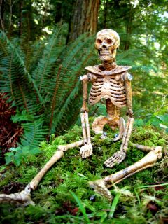 Picture Jasper Carved Human Skeleton Bone Crystal Skull