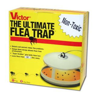  Ultimate Flea Trap Keep Your Pets Happy and Your Home Flea Free