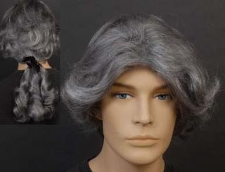 Wig Grey Pony Tail Barrister Judge Victorian Costume