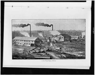  ,lumber industry,trees,buildings,smokestacks,logs,Arkansas,AR,c1896