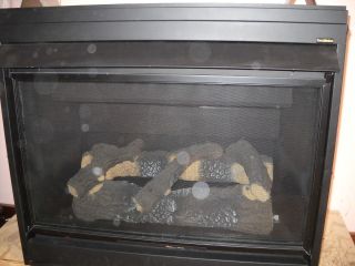 Heatilator Direct Vent Propane Fireplace Heater