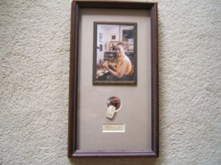 VINTAGE HELEN SHAW FRAMED FLY DISTRESS PINE FRAME READY TO HANG