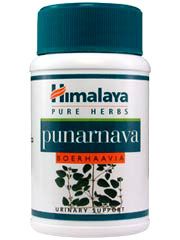 Himalaya Punarnava Urinary Tract Infection Support U T I Herbal 60