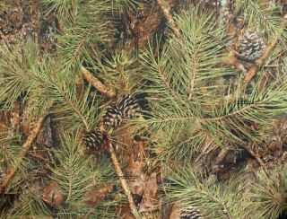 Camouflage Fabric True Timber Pine Water Repellant