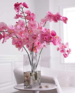 Natural Decorations Inc Exotic Orchids Faux Floral Arrangement