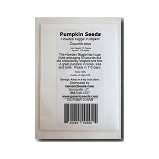 Howden Biggie Pumpkin Seeds   Cucurbita Pepo   3 Grams