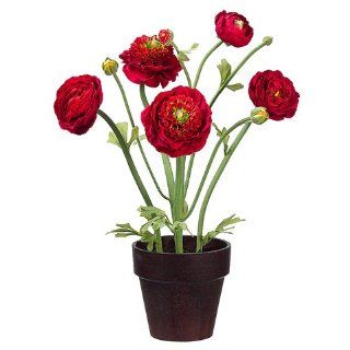 20 Ruffle Ranunculus in Paper Mache Pot Red (Pack of 4