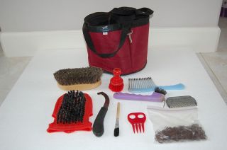  Class Red 10 Piece Grooming Kit with Tote Bag Horse Tack Equine