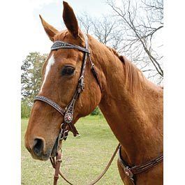  Collection Jeffers Equine Tack Supplies Horse Breast Collar