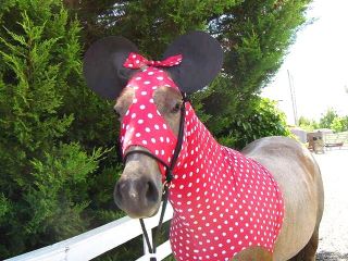  MOUSE HORSE COSTUME, EARS & TAIL BAG Horse Hood SLINKY TAIL BAG *LARGE