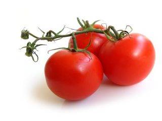 Best Boy Hybrid Tomato 50 Seeds Pack