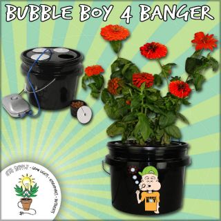 Site Deep Water Culture Hydroponic Bucket System DWC