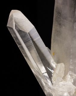 Lemurian Seed Quartz Clear Terminated Crystal w 2 Children Brazil
