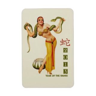 2013 Chinese New Year of the Snake Gift Magnet 