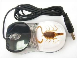 Optical Computer Mouse   Chinese Golden Scorpion Specimen (Black Case