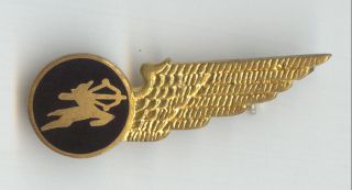 Air India Airlines Old Stewardess Wing Badge