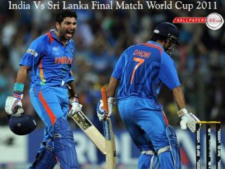 Latest India World Cup 2012 Reebok Cricket Bat Stickers Dhoni