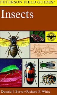 Field Guide to Insects America North of Mexico by Donald Joyce