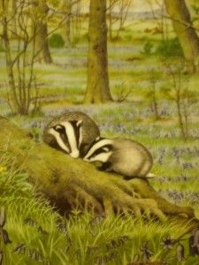 Country Year Collector Plate The Woodlands in April by Peter Barrett