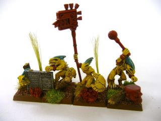 Warhammer Unique Lizardmen Army Well Pro Painted