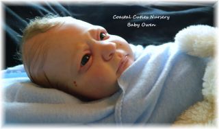  Reborn Baby Boy Owen Jessica Schenk Rich Blue Eyes Precious