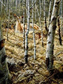Whitetail Spring by John Seerey Lester Deer Doe Buck RARE Print
