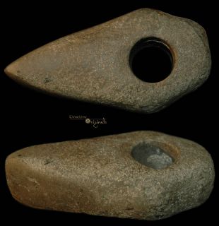 Sleswig Germany Neolithic Stone Age Axe Hammer 019271  
