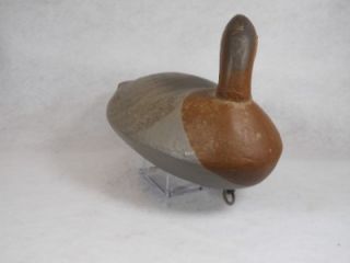 Canvasback Hen Duck Decoy Upper Chesapeake Bay MD Turned Preening Head Branded  