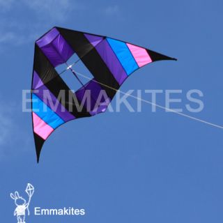Shipping New 9ft Delta Conyne Kites 3D Kites Single Line Kites