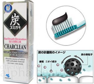 Kobayashi Japan Charcoal Powder Power Toothpaste Tooth Care 100g