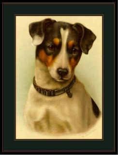 English Print Jack Russell Terrier Dog Art Picture