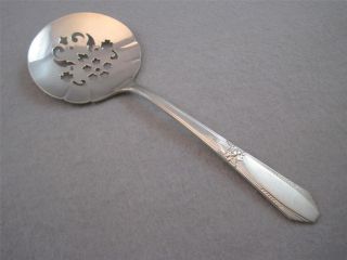 Tomato Server Northumbria Sterling Silver Laurier