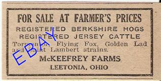 1923 Mckeefrey Farms Berkshire Hogs Ad Leetonia Ohio