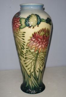 Superb Moorcroft Limited Edition Vase Cleome by Sian Leeper