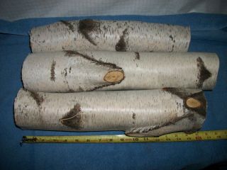 New Hampshire grown White Birch large logs crafts wedding christmas