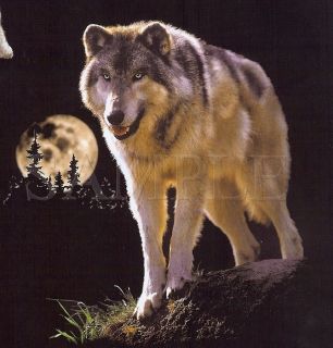 Lone Wolf Wild Animal Sweatshirt