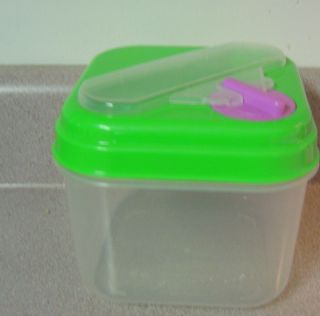 Plastic Container Green Lid Clear Plastic Bottom USED VGC Square Food