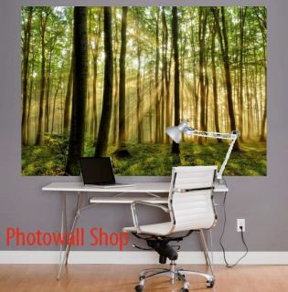 Free Wallpaper on Magic Forest Photo Wallpaper Wall Mural 1 75mx1 15m Free Delivery Uk