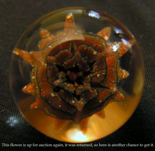 TBG Torch Born Glass Magma Drinker Flower Marble Hand Made Art Gift