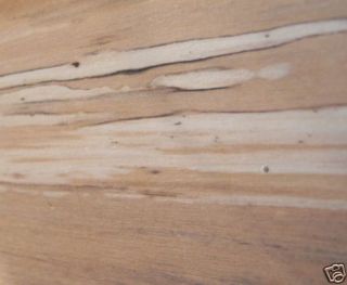 Spalted Basswood Carving Craft Character Wood Blanks