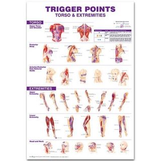 Massage Therapy Supplies Giant Trigger Point Chart