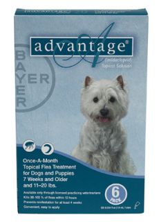 Bayer Advantage 6 Pack For Dogs 11   20 lb
