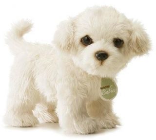 Mimi Realistic Toy Poodle Puppy Dog Aurora Babies New