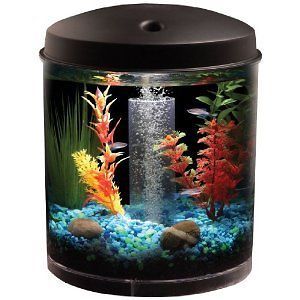 gallon fish tank