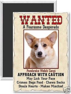 PEMBROKE WELSH CORGI Wanted Poster FRIDGE Magnet –Dog Breed HERDING