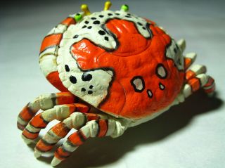 4D Master Puzzle Sea Animal Clown Crab