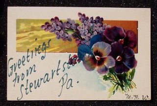 1900s Greetings Flowers Violets Stewartstown PA York Co